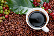 Café robusta : votre guide complet